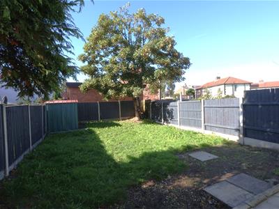 Picture 11